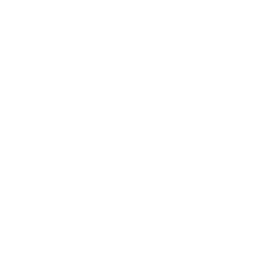 Véhicules livrés